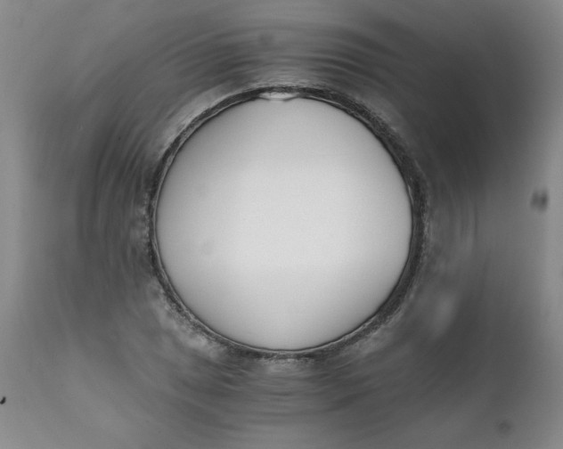 X0000111431025200907271100