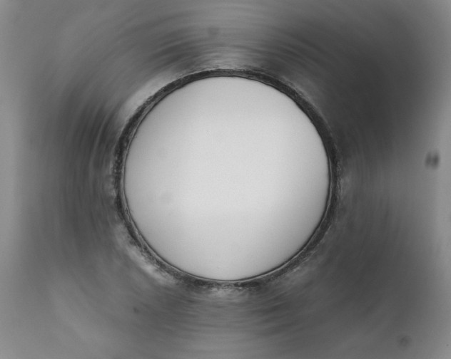 X0000111431026200907271100