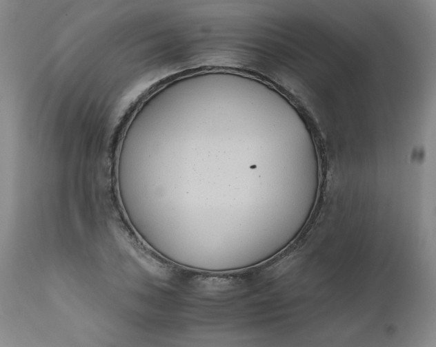 X0000111431027200907271100