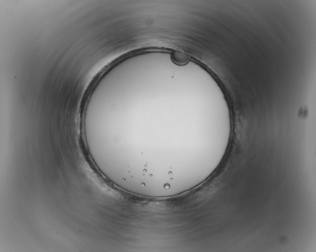 X0000111431028200907271100