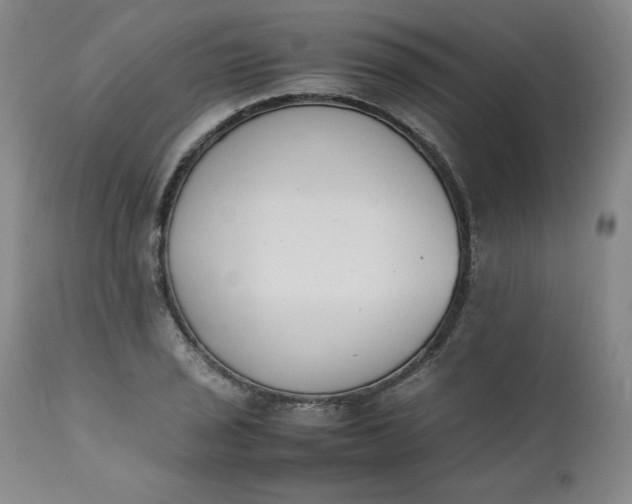 X0000111431029200907271100