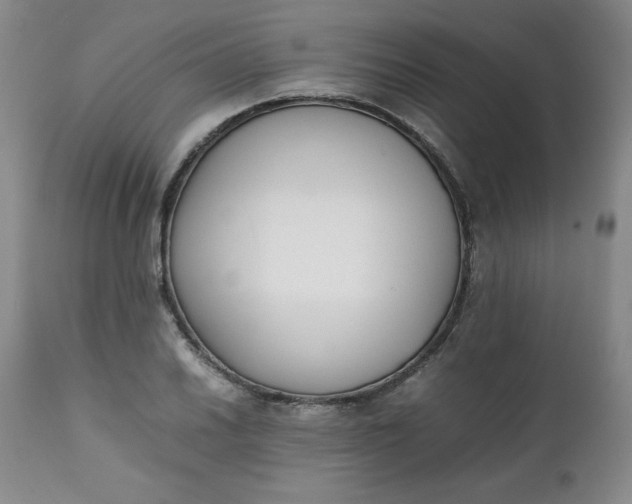 X0000111431030200907271100