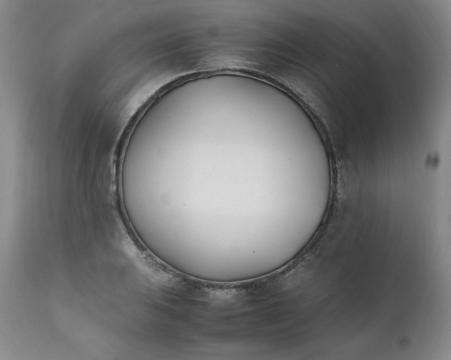 X0000111431031200907271100