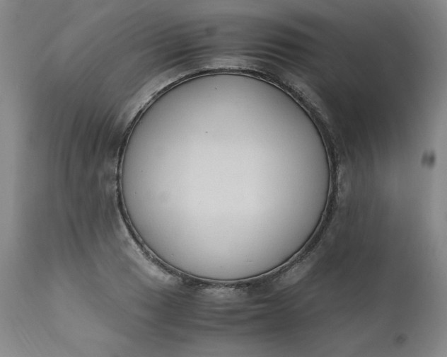 X0000111431033200907271100