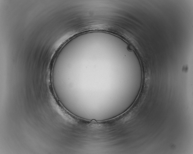 X0000111431034200907271100