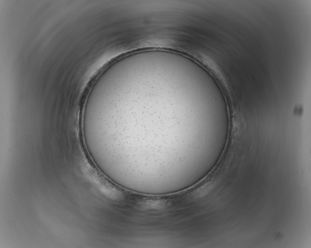 X0000111431035200907271100