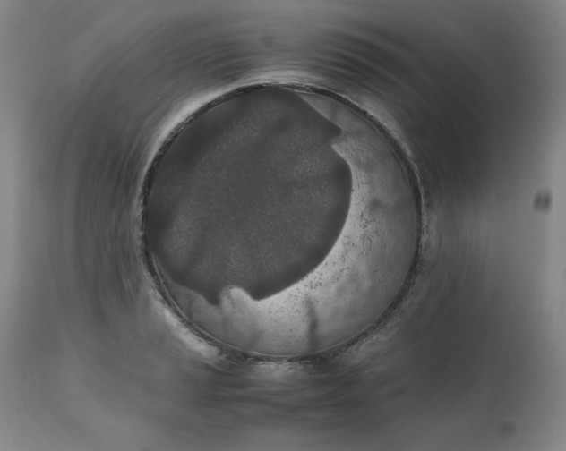 X0000111431037200907271100