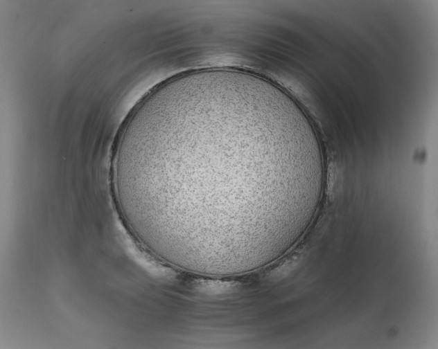 X0000111431039200907271100