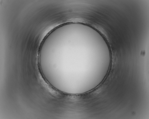 X0000111431040200907271100