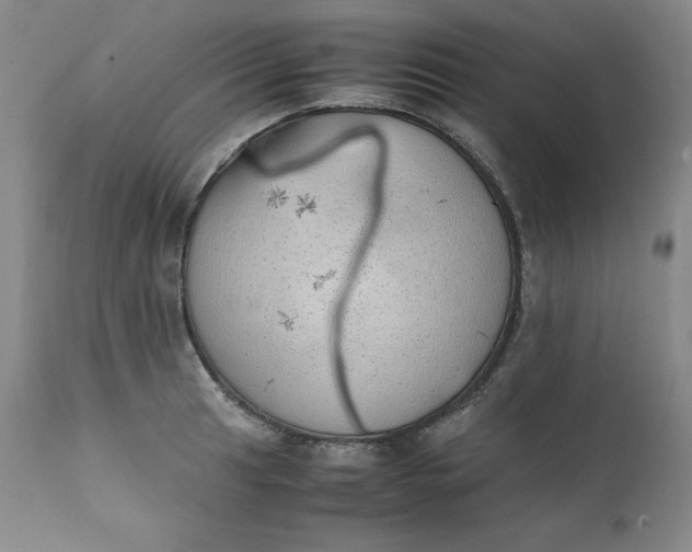 X0000111431041200907271100