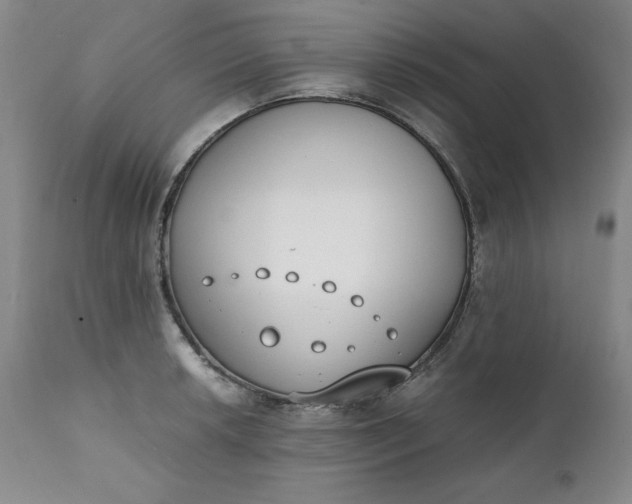 X0000111431042200907271100