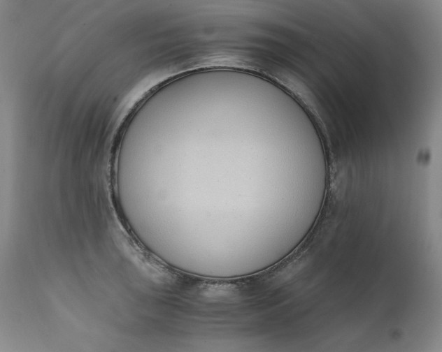 X0000111431043200907271100