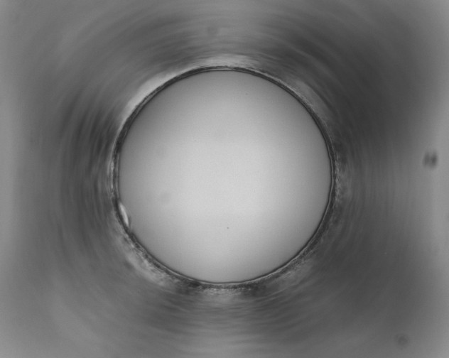 X0000111431044200907271100