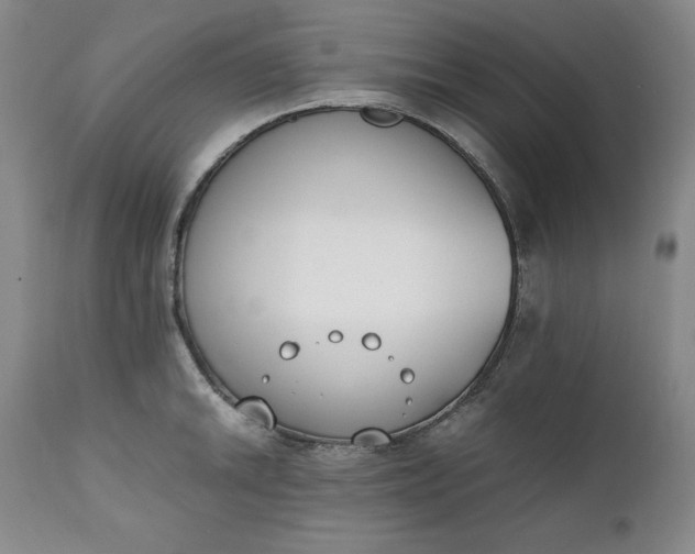 X0000111431046200907271100