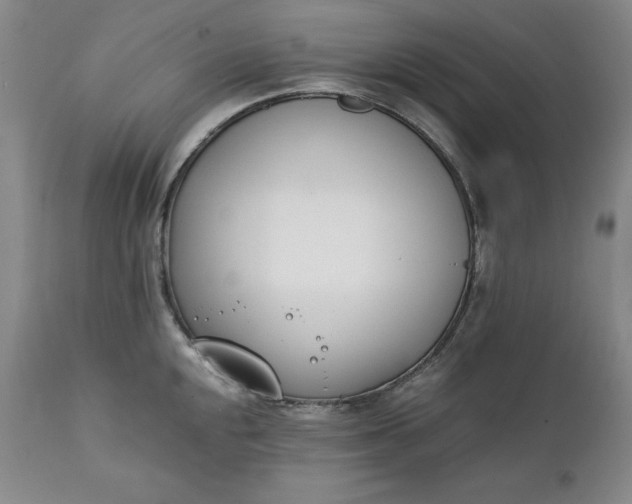 X0000111431048200907271100