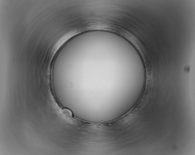 X0000111431050200907271101