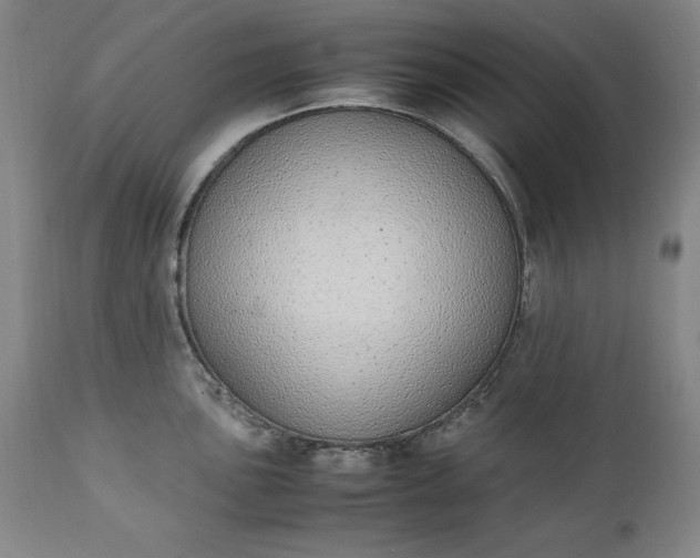 X0000111431051200907271101