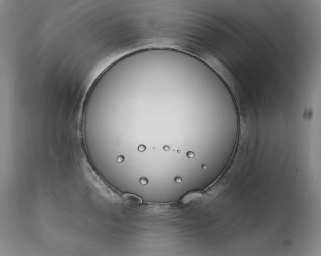 X0000111431052200907271101