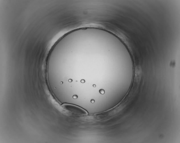 X0000111431054200907271101