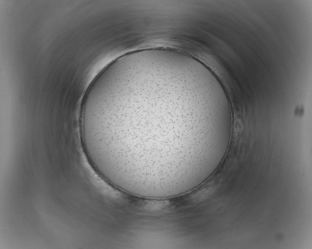 X0000111431055200907271101