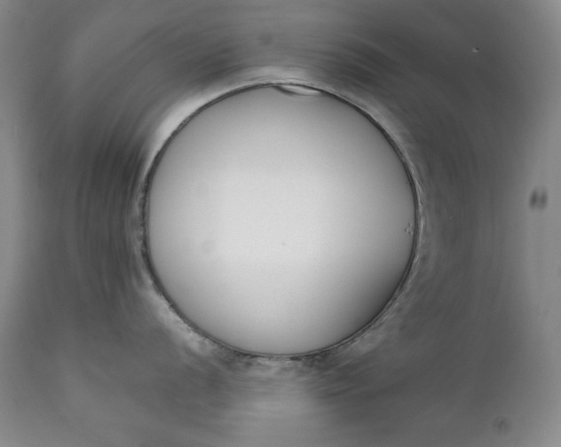 X0000111431056200907271101