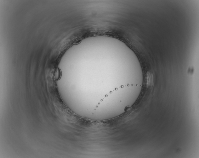 X0000111431059200907271100