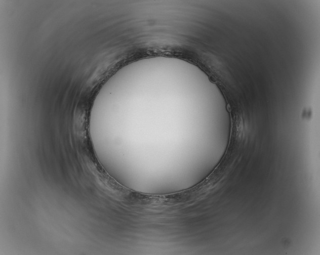 X0000111431060200907271100