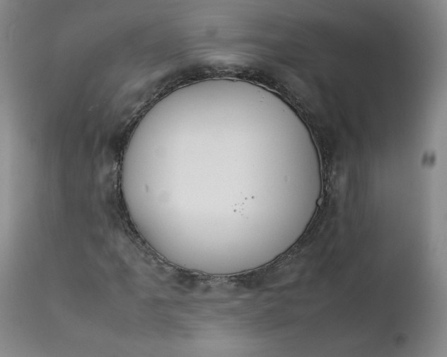 X0000111431061200907271100