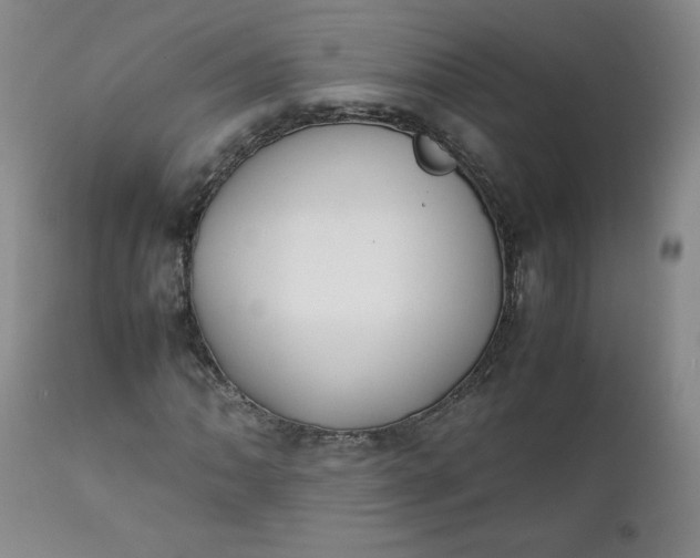 X0000111431062200907271100