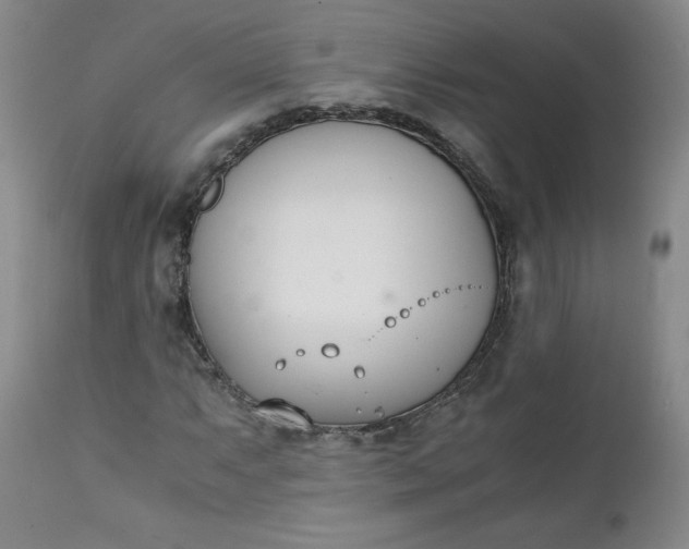 X0000111431063200907271100