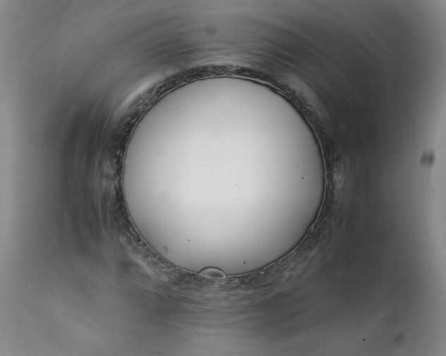 X0000111431064200907271100