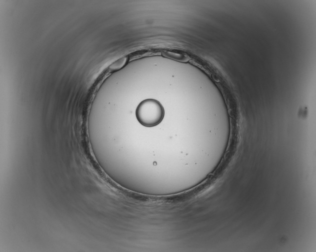 X0000111431065200907271100