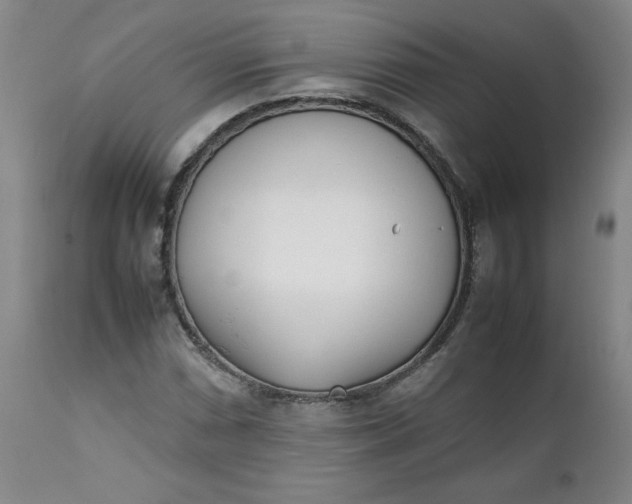 X0000111431066200907271100