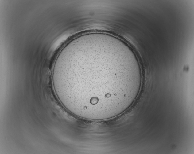 X0000111431067200907271100