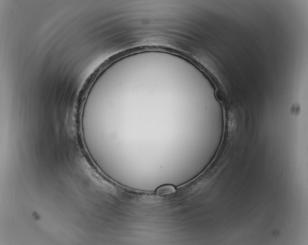 X0000111431068200907271100