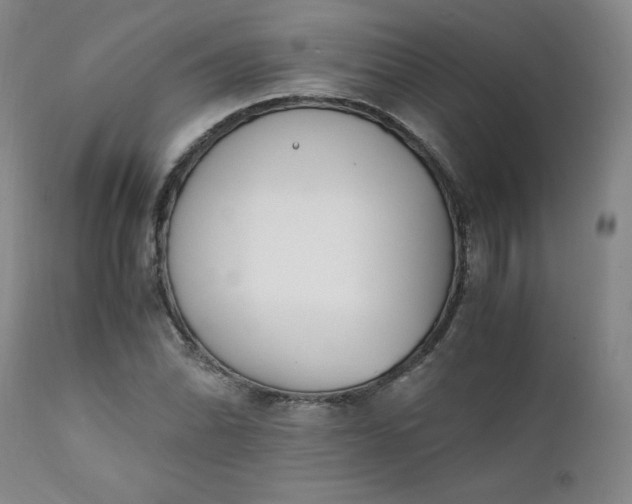 X0000111431070200907271100