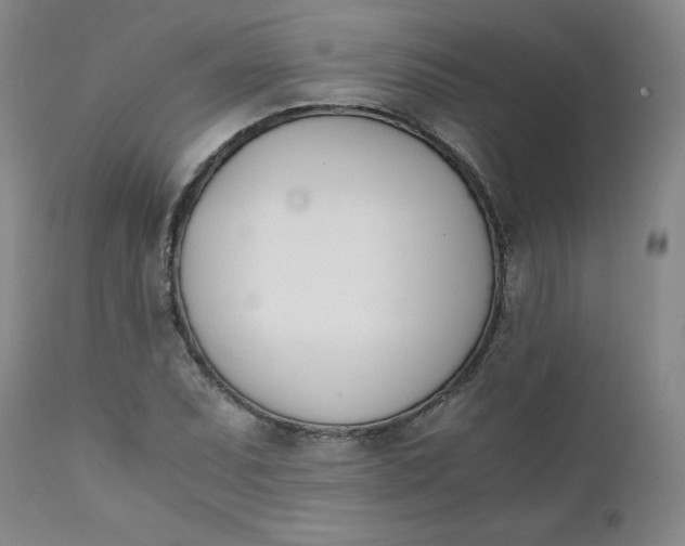 X0000111431071200907271100