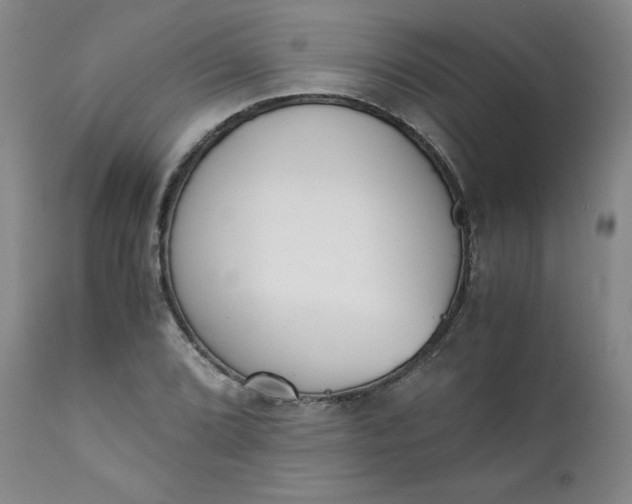 X0000111431072200907271100