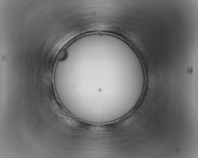 X0000111431073200907271100