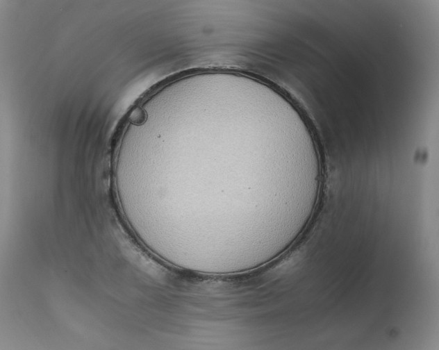 X0000111431075200907271100