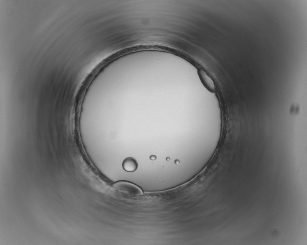 X0000111431076200907271100