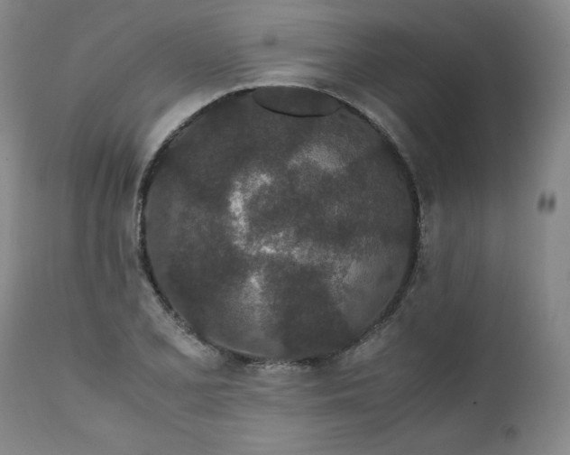 X0000111431077200907271100