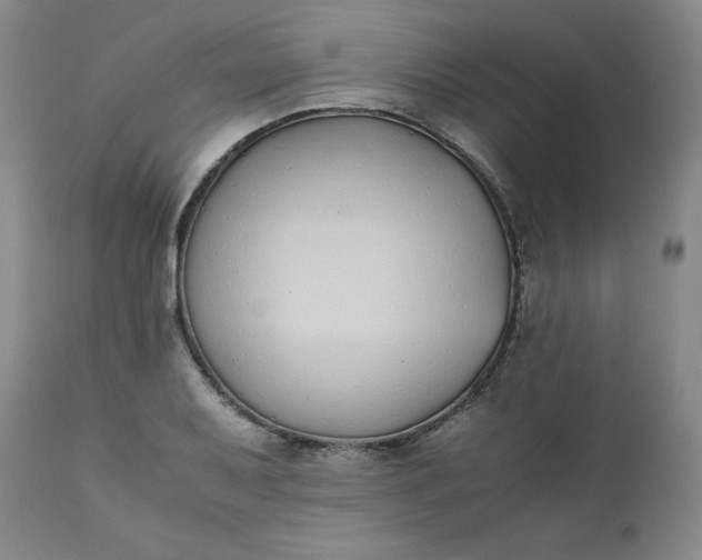 X0000111431079200907271100