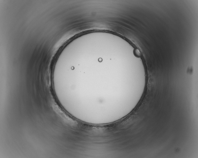 X0000111431080200907271100