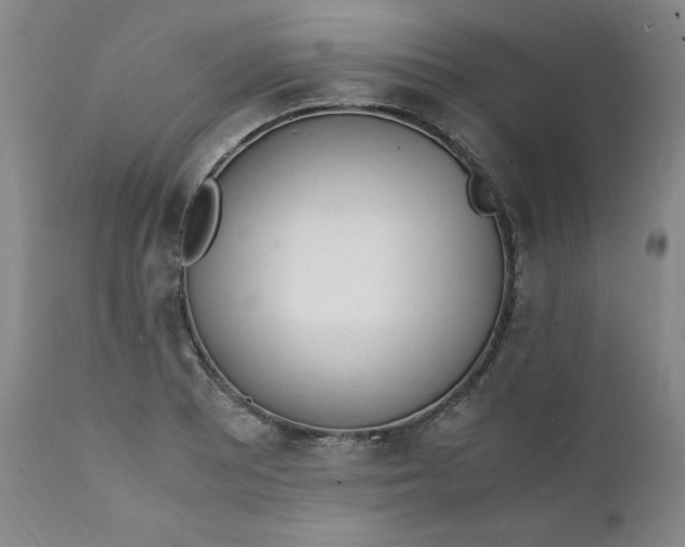 X0000111431081200907271100