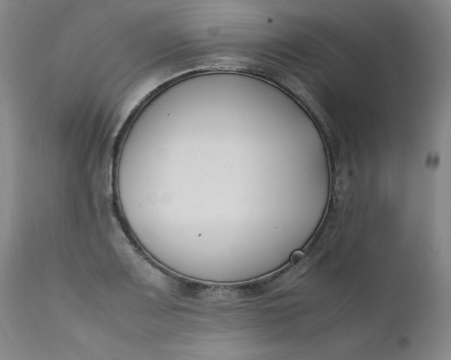 X0000111431083200907271100