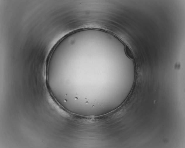 X0000111431084200907271100