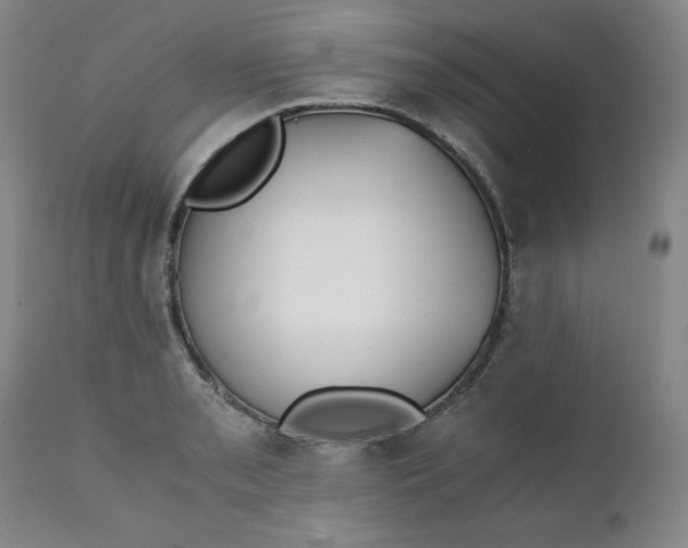 X0000111431085200907271059