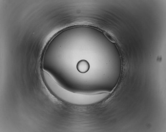 X0000111431086200907271059