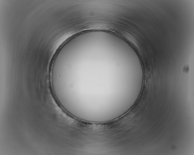 X0000111431087200907271059